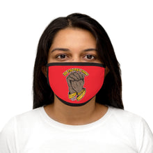 Load image into Gallery viewer, DYPT Face Mask: Red
